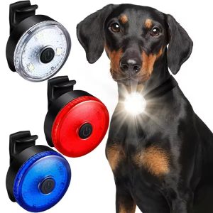 Dog Led Lamp